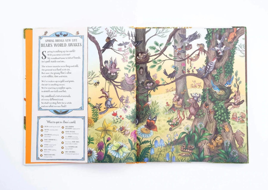 If You Go Down To The Woods Today - Search and Find children’s poetry book by Rachel Piercey, Freya Hartas.