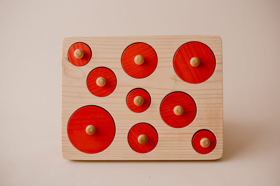 Qtoys | Montessori Circle Size Puzzle