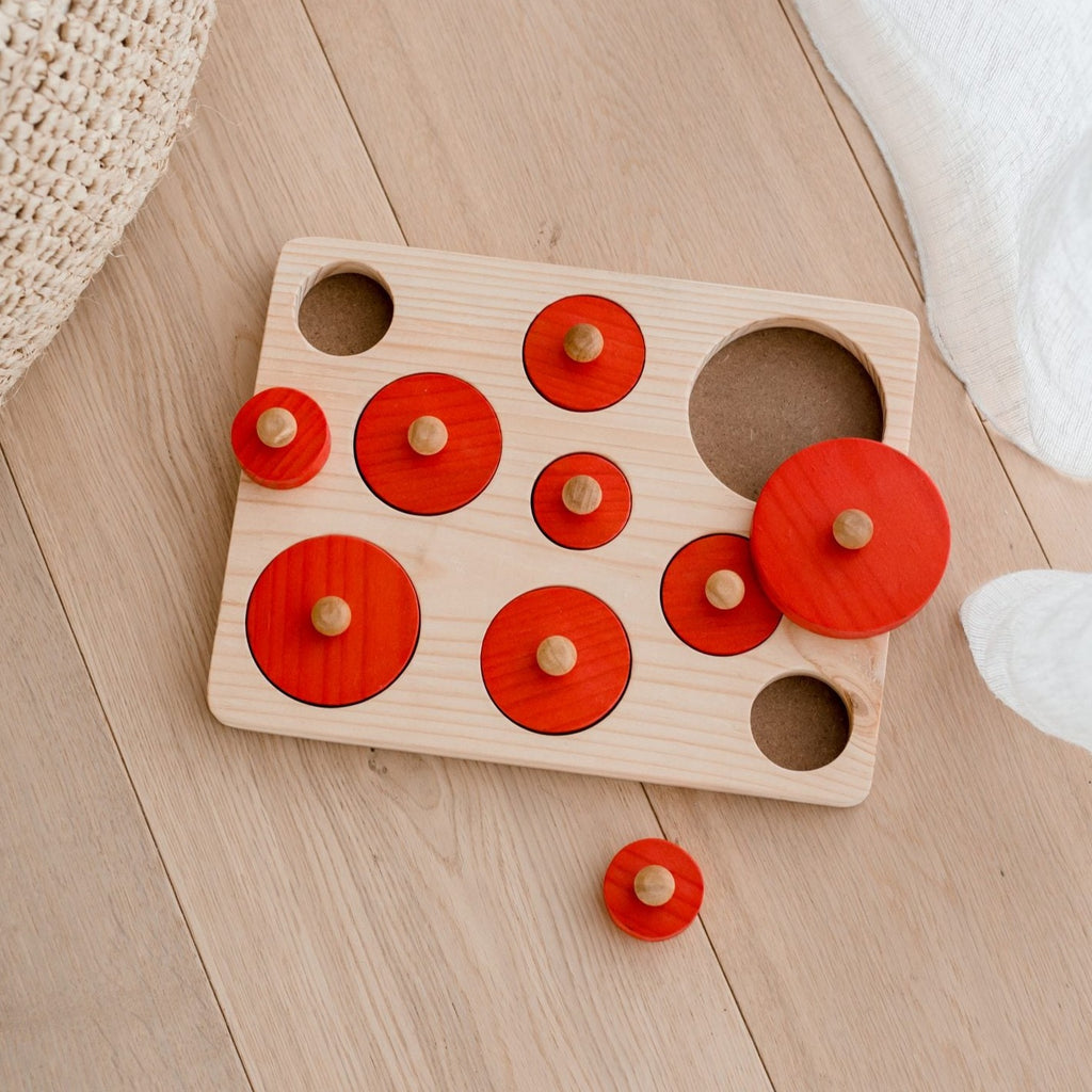 Qtoys | Montessori Circle Size Puzzle