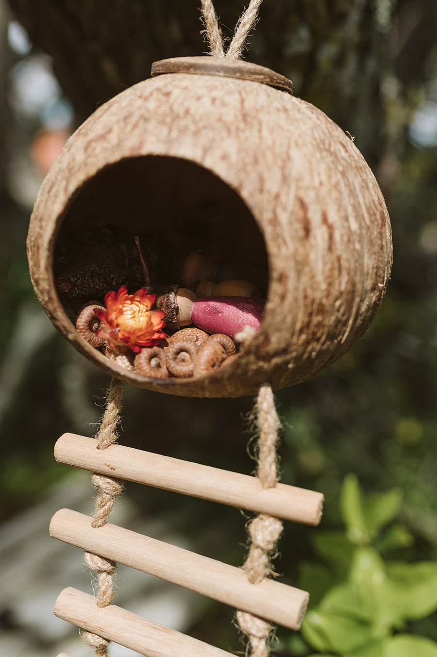 Qtoys | Hanging Coconut Fairy House