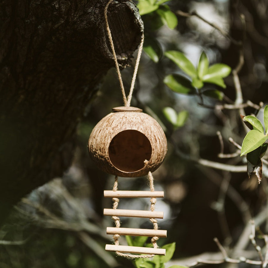 Qtoys | Hanging Coconut Fairy House