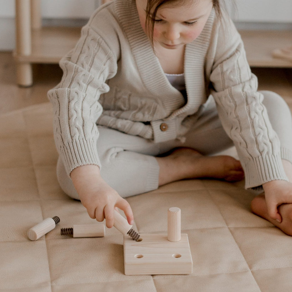Montessori toy Screw Game