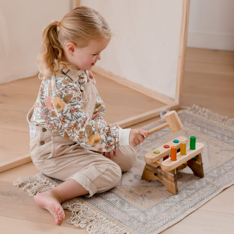 Qtoys Pound A Peg Set – Fairplay