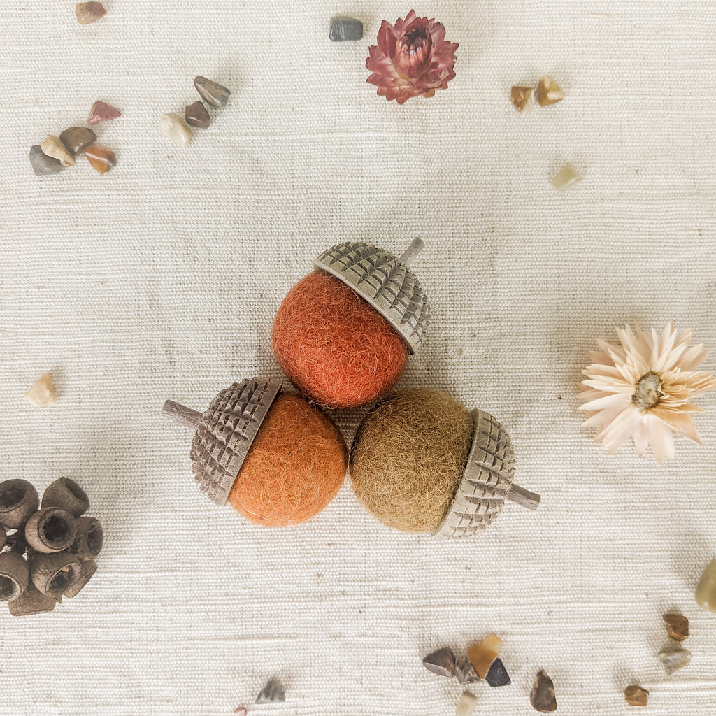 Natural acorn felt toys for kids 