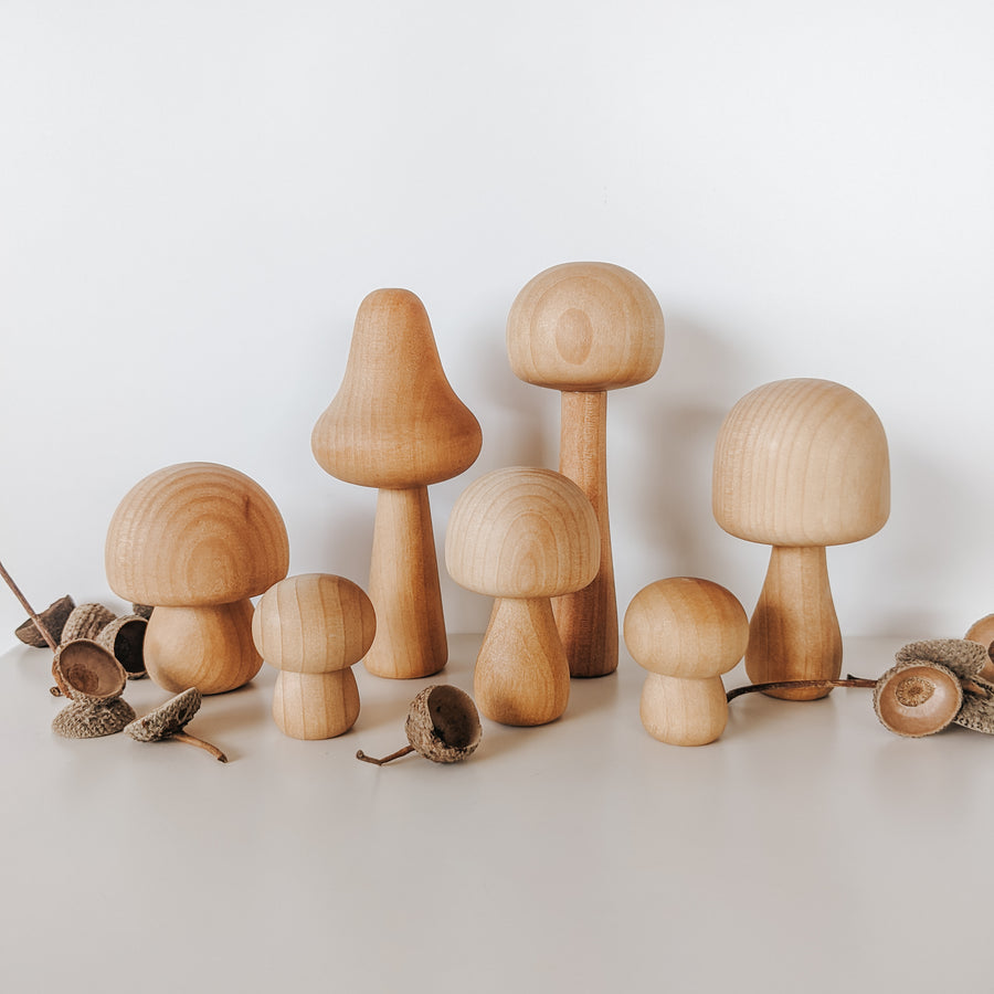Wooden Mushroom Forest
