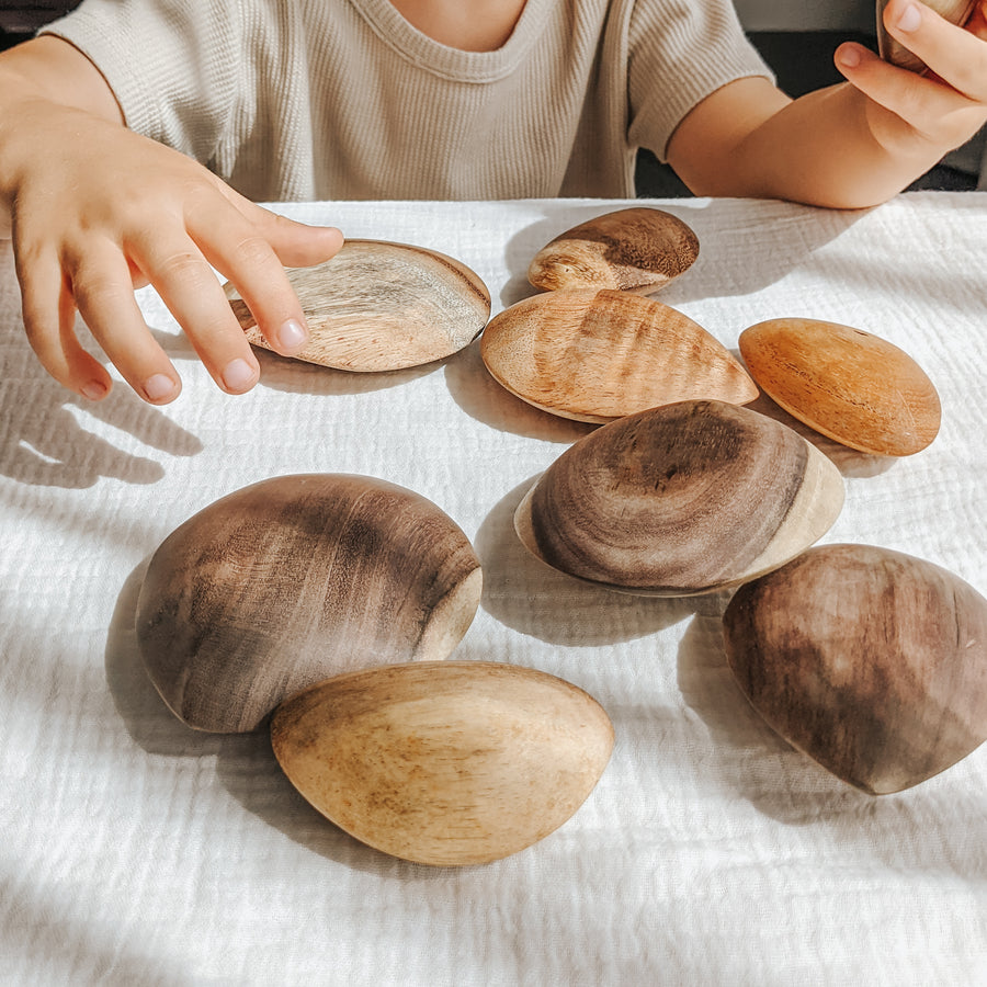 Wooden Pebble Set