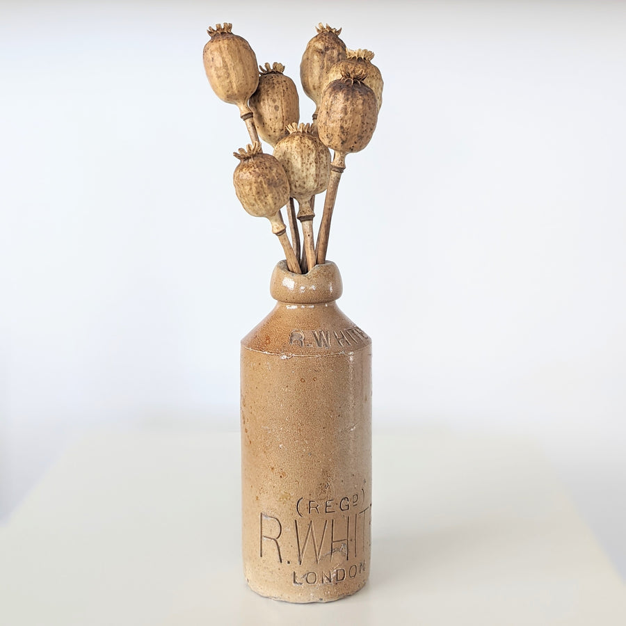 Nature's Treasures - Dried Poppy Seed Shaker