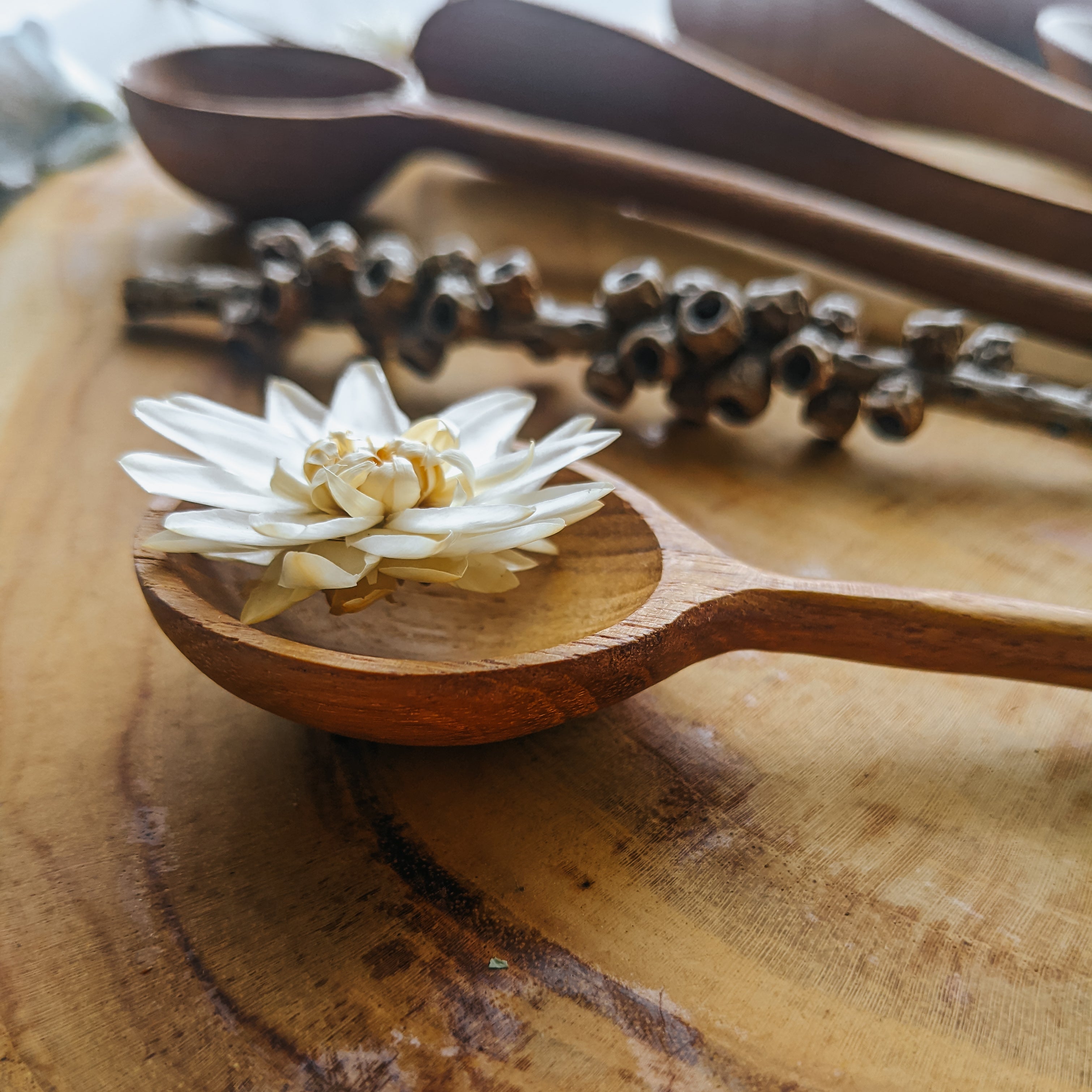 Teak Wood Moon Potion Spoons – Fairplay