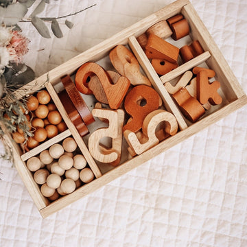 Wooden Montessori toy sorting trays