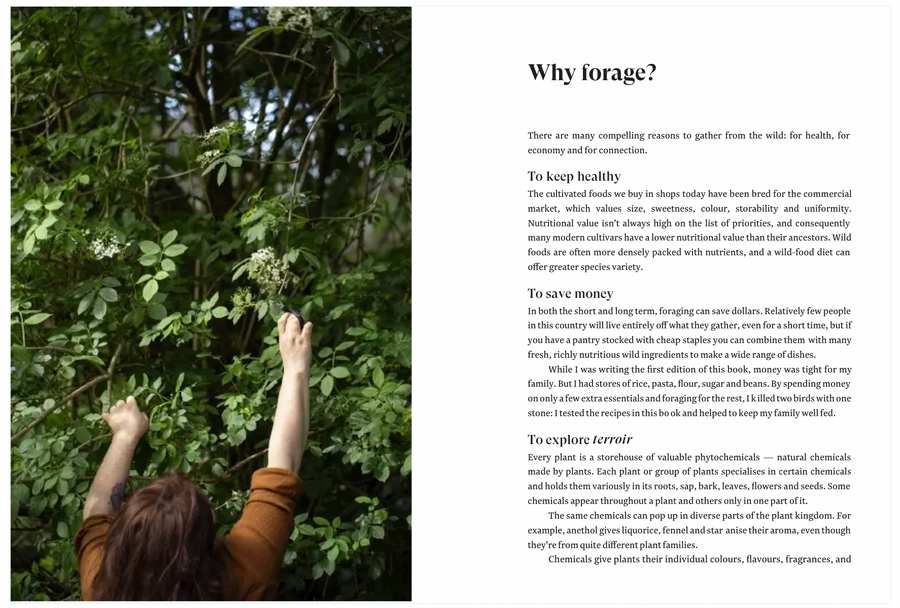 The Foragers Treasury: The Essential Guide to Finding and Using Wild Plants in Aotearoa