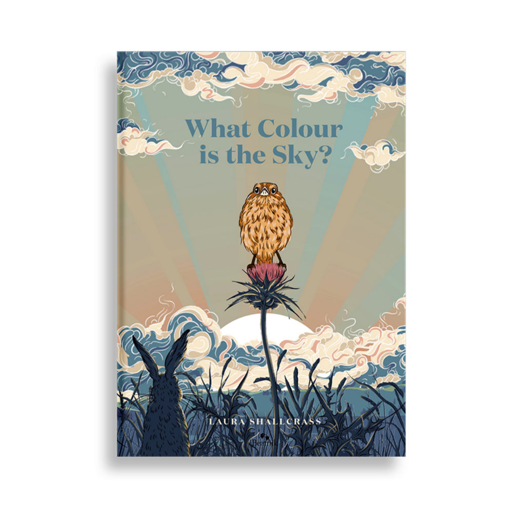 What Colour is The Sky?