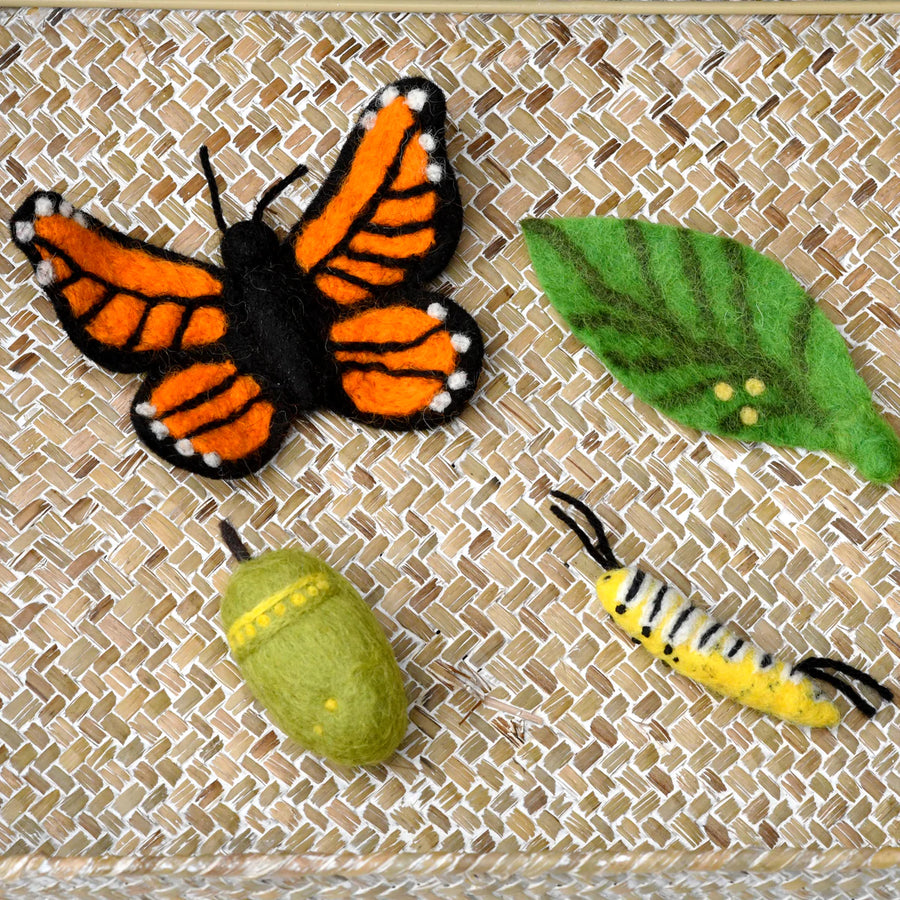 Felt Life Cycle of Monarch Butterfly