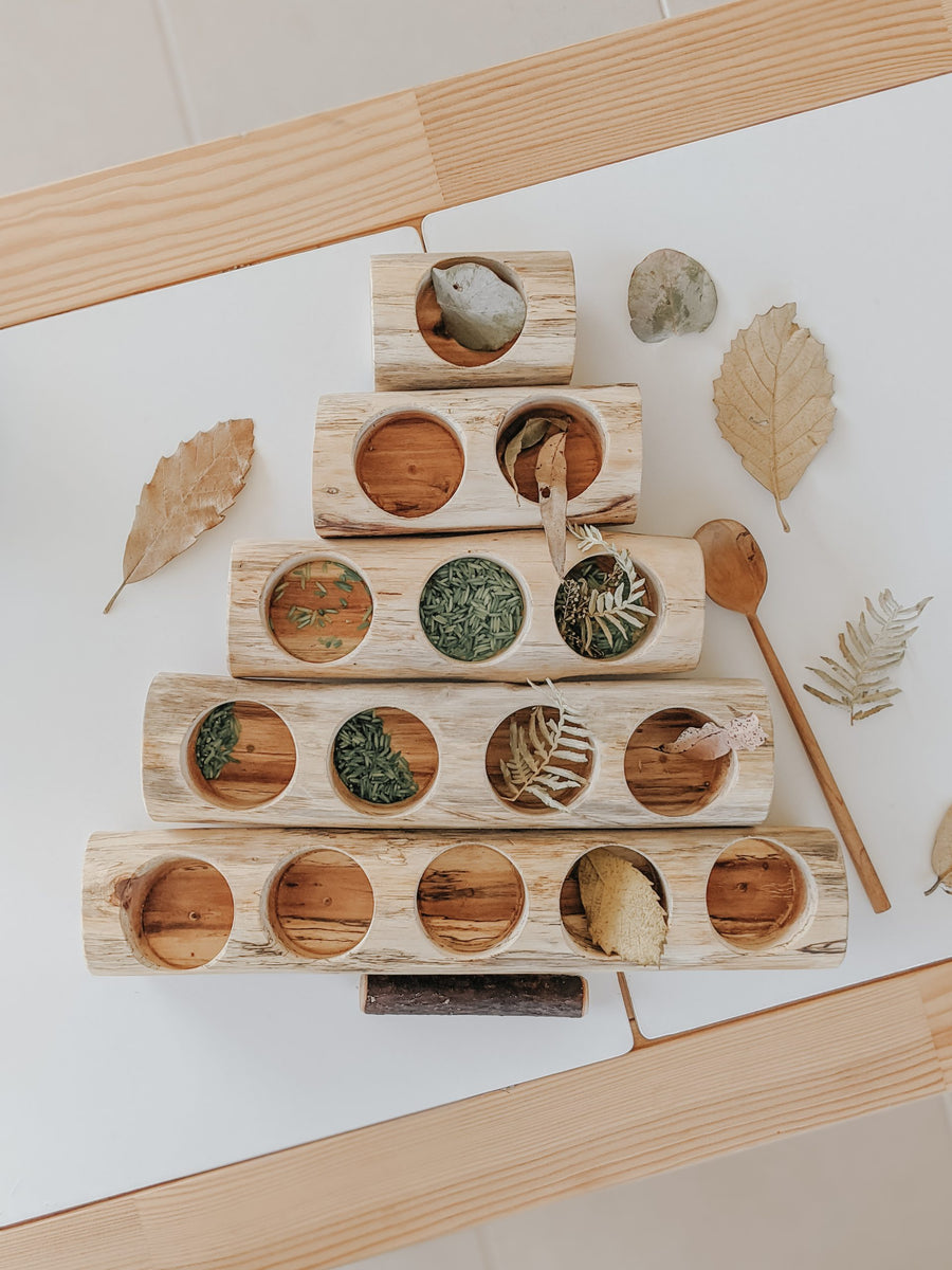 Qtoys | Wooden Log Counting and Sorting Trays