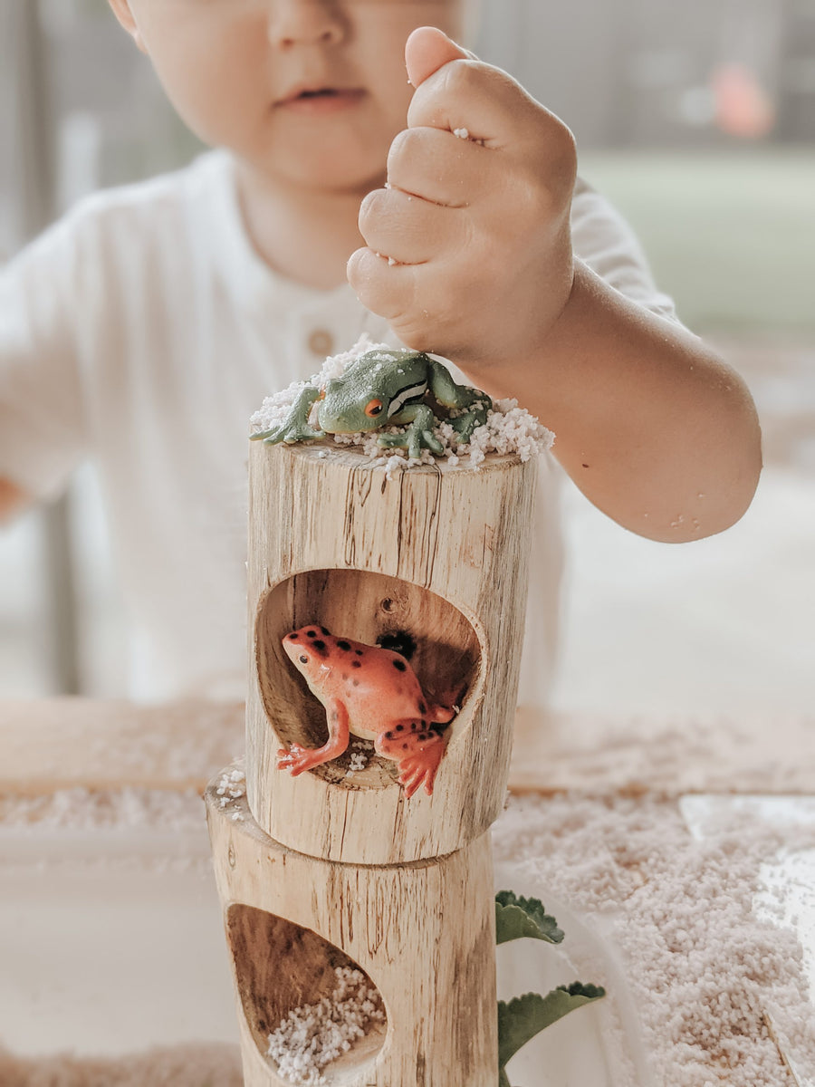Qtoys | Wooden Log Counting and Sorting Trays
