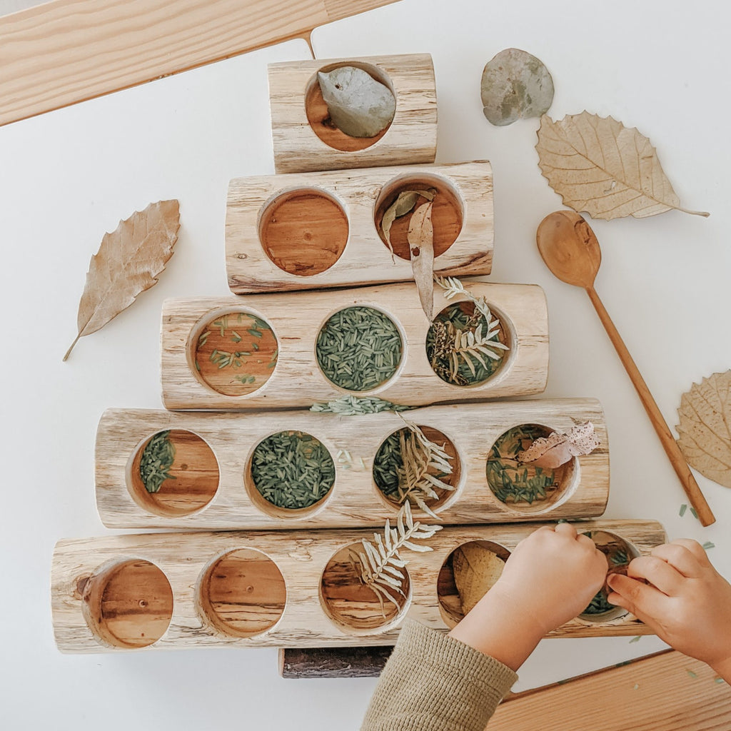 Qtoys | Wooden Log Counting and Sorting Trays