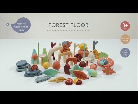 Loose Parts Play: Forest Floor Set