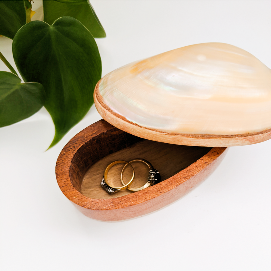 Wooden Treasure Box with Shell Lid
