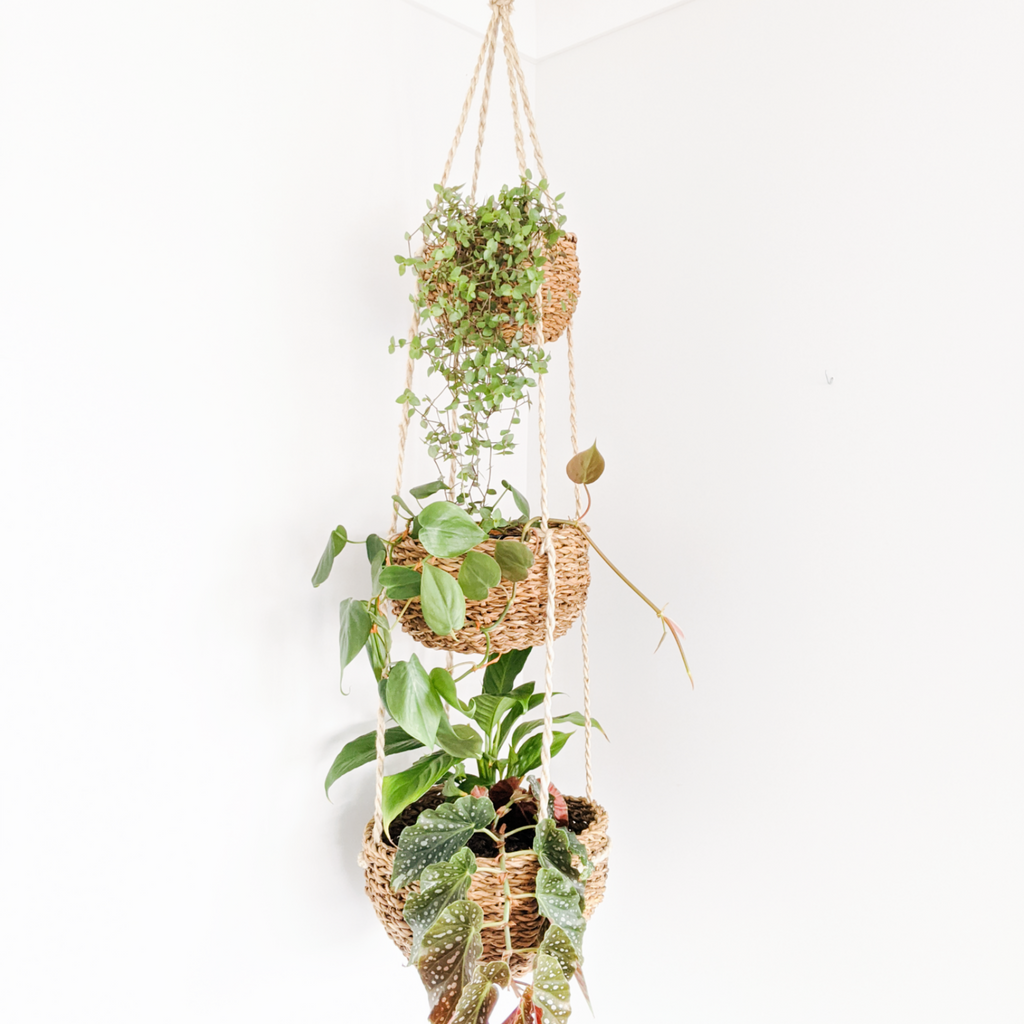 Fairtrade jute hanging basket home decor. 