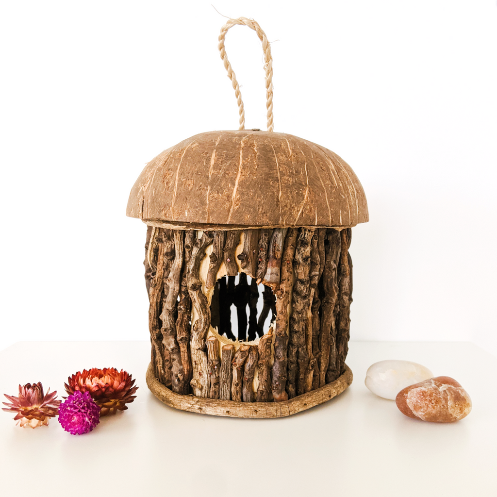 natural coconut bird house