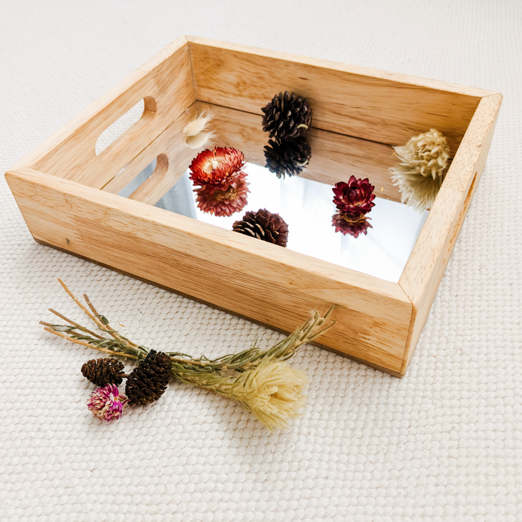 Mirror Trays for Kids