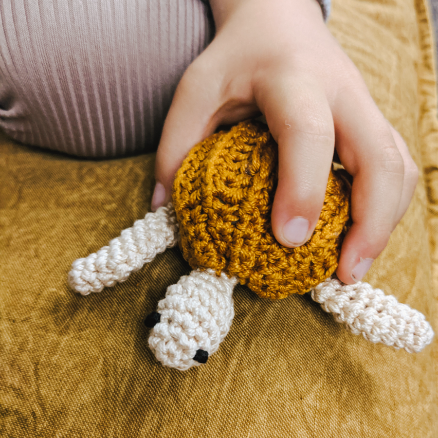 Crochet Turtle Rattles