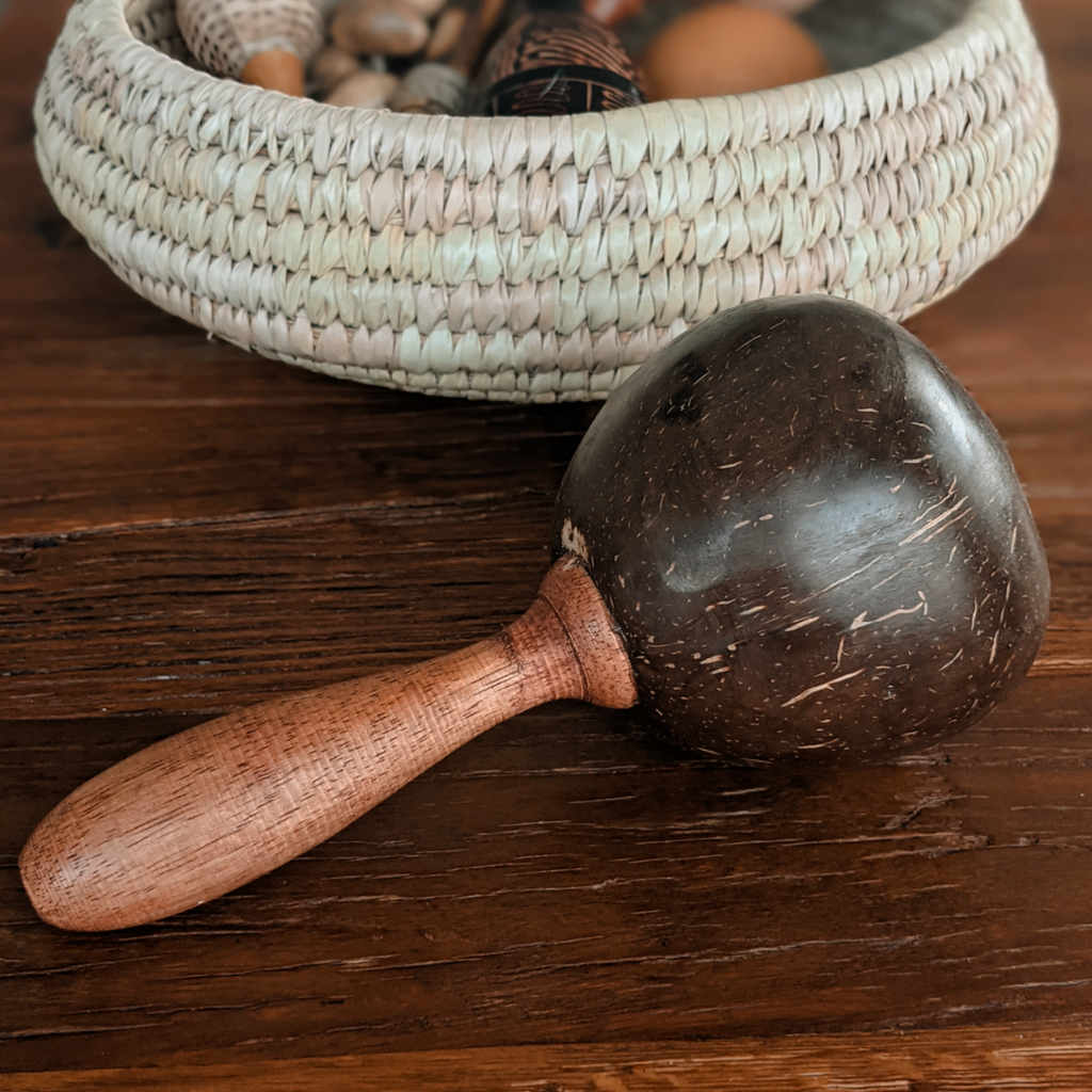 coconut maraca children's toy