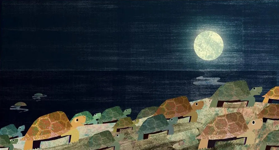Moon - Night Time Around the World | Britta Teckentrup
