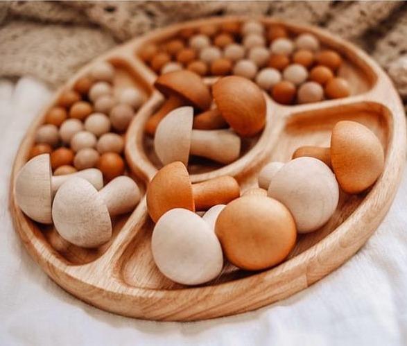 Qtoys | Round Sorting Tray