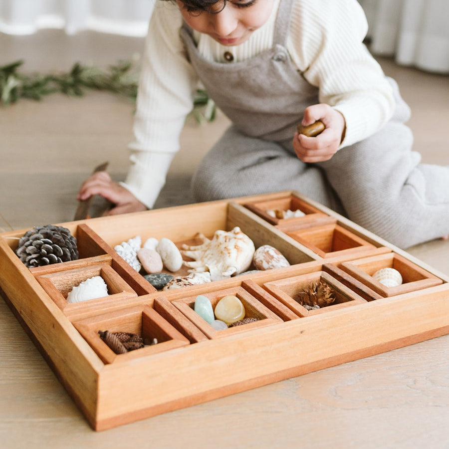 Wooden Classification Tray with Tongs