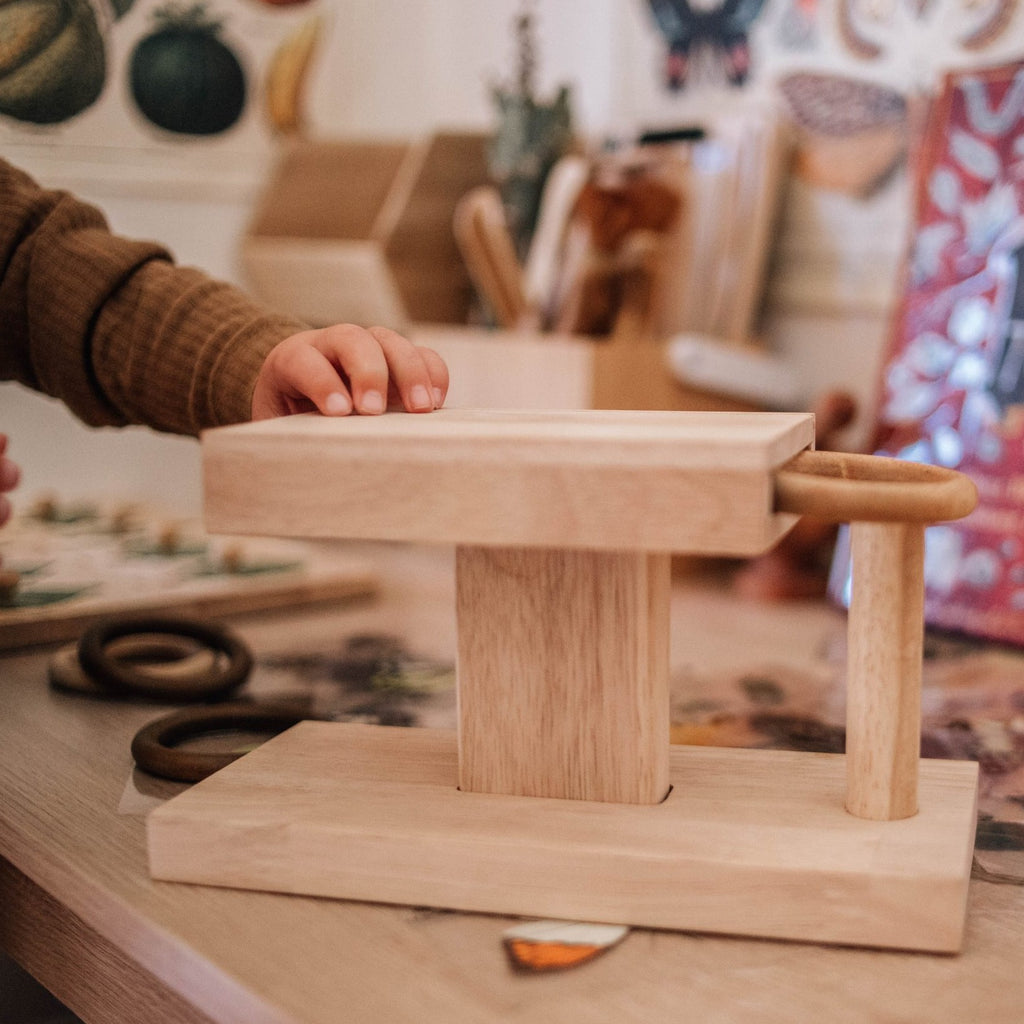 Montessori rings set wooden toy 