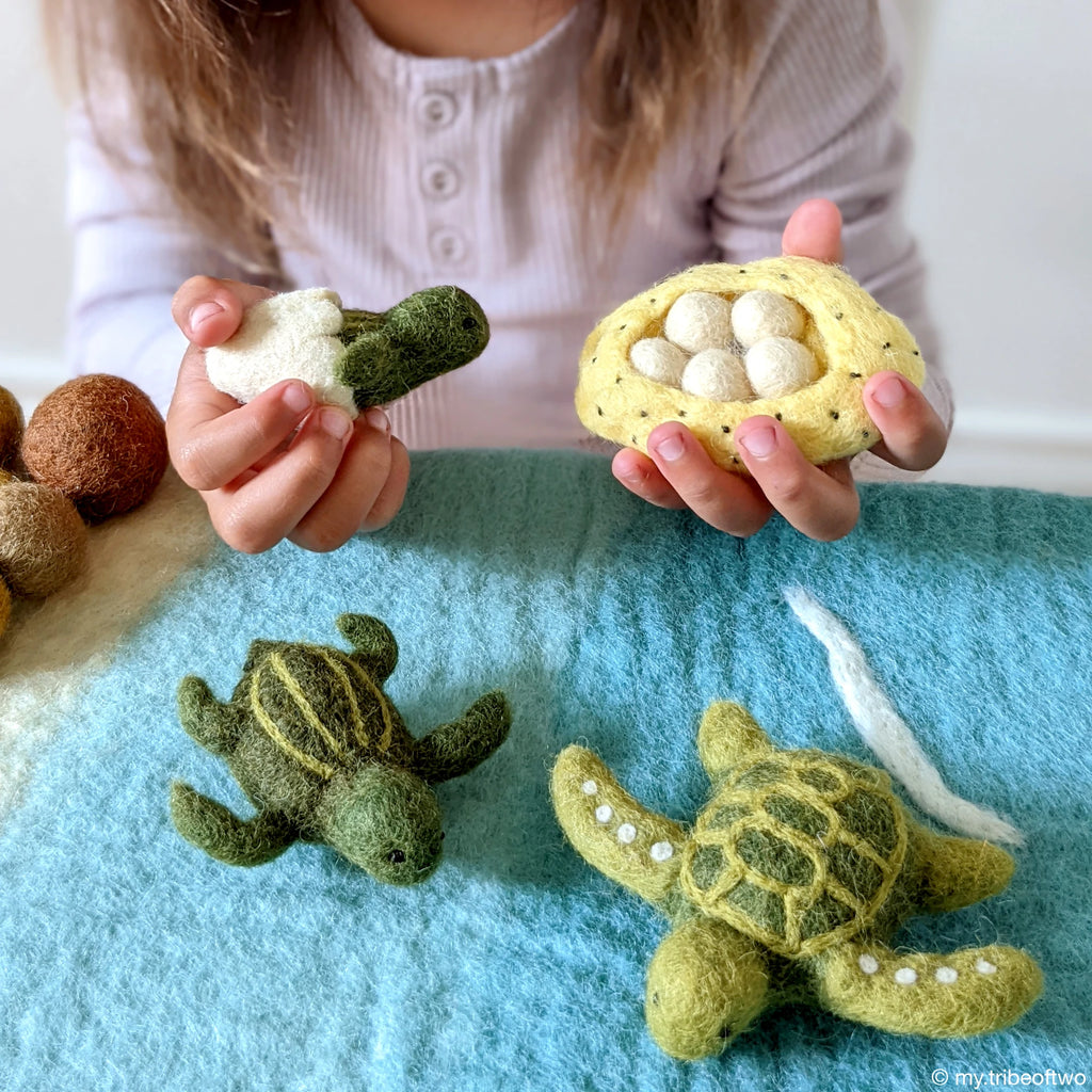 Tara Treasures | Felt Life Cycle of a Green Sea Turtle